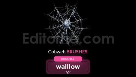 15 realistic cobweb photoshop brush set