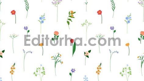 پترن گل‌های ظریف و زیبا6