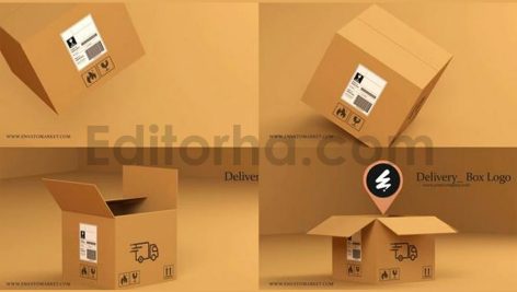Delivery Box Logo