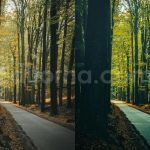 ai optimized moody cinematic road lightroom preset