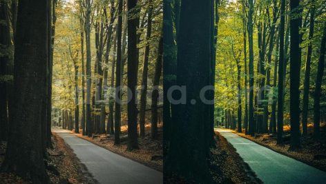 ai optimized moody cinematic road lightroom preset