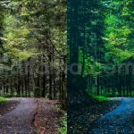 ai optimized moody cinematic road lightroom preset