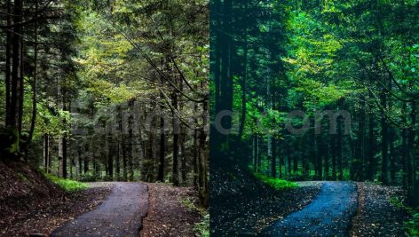ai optimized moody cinematic road lightroom preset