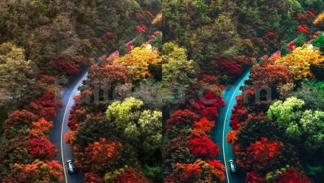 ai optimized moody cinematic road lightroom preset