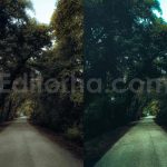 ai optimized moody cinematic road lightroom preset