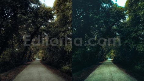 ai optimized moody cinematic road lightroom preset