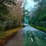 ai optimized moody cinematic road lightroom preset