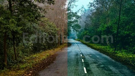 ai optimized moody cinematic road lightroom preset