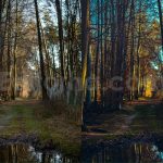 ai optimized moody cinematic road lightroom preset
