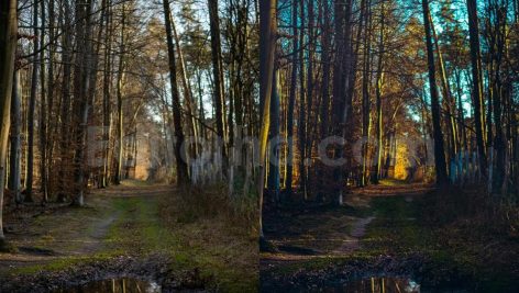 ai optimized moody cinematic road lightroom preset