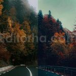 ai optimized moody cinematic road lightroom preset