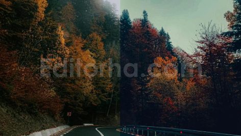 ai optimized moody cinematic road lightroom preset