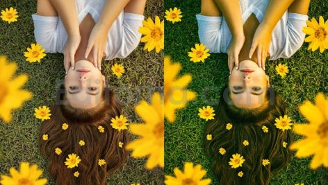 analog film lightroom presets