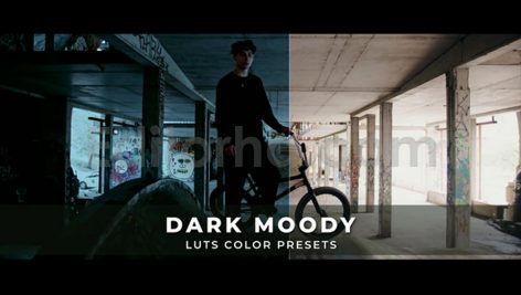 دانلود پریست داوینچی ریزالو: LUTهای تیره و مودی Dark Moody Luts