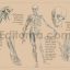 Human Anatomy