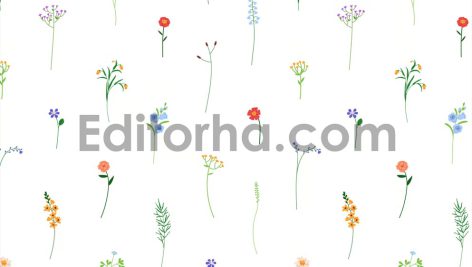 پترن گل‌های ظریف و زیبا11
