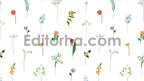 پترن گل‌های ظریف و زیبا6