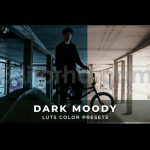 دانلود پریست داوینچی ریزالو: LUTهای تیره و مودی Dark Moody Luts