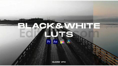 دانلود پریست داوینچی ریزالو: پریست رنگ سیاه و سفید Black&White LUTs