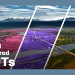 دانلود پریست داوینچی ریزالو: LUTهای مادون قرمز Aerochrome Infrared LUTs