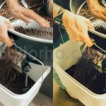 ai cafe mood lightroom presets
