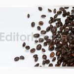 coffee beans falling against white background slow