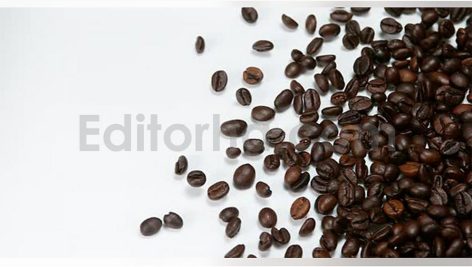 coffee beans falling against white background slow
