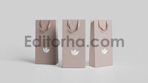 Gift Bag Mockup2
