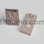 Gift Bag Mockup3