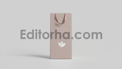 Gift Bag Mockup4