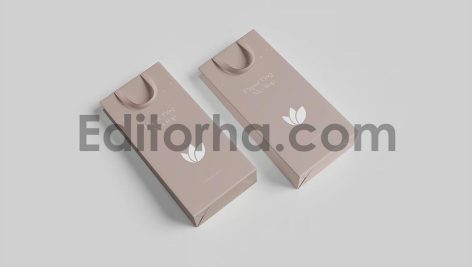 Gift Bag Mockup5