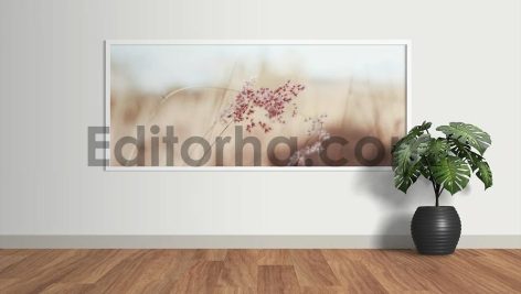 Minimalist Frame Mockup3