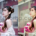 ai optimized pastel bright lightroom presets
