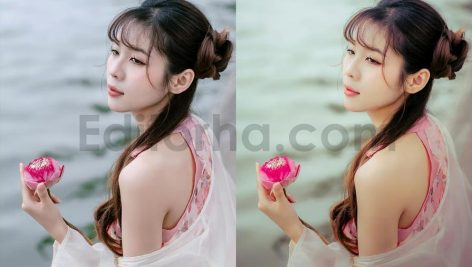 ai optimized pastel bright lightroom presets