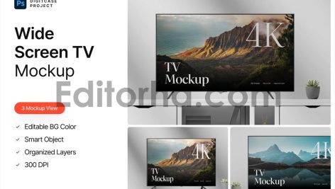 Wide Screen TV Mockup1