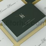 Business Card v.04