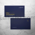 Professional Business Card