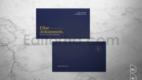 Professional Business Card