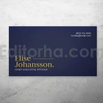 Professional Business Card
