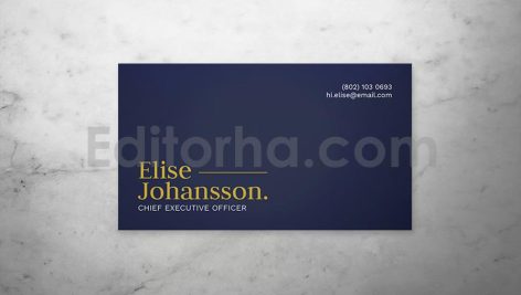 Professional Business Card