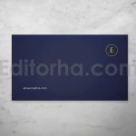 Professional Business Card