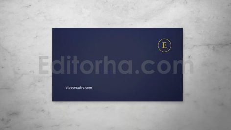 Professional Business Card