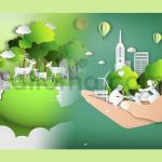 Environment Day Mogrt 28