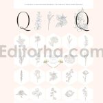 floral flexible illustrator brushes