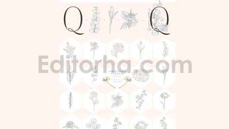 floral flexible illustrator brushes