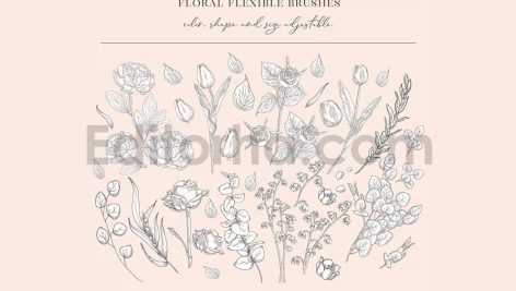 floral flexible illustrator brushes