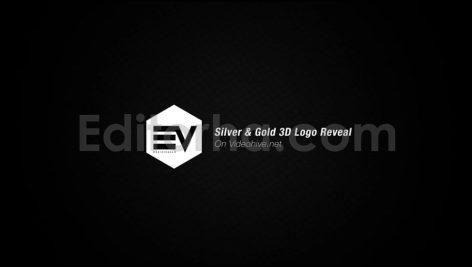 silver gold logo reveal