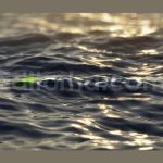 ultra realistic ocean logo