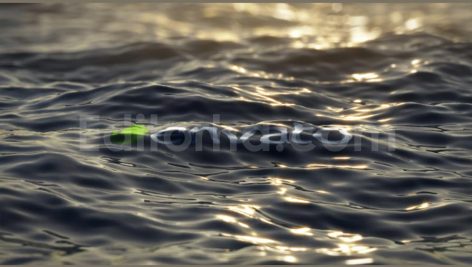 ultra realistic ocean logo