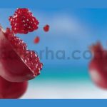 Flying Pomegranate & Pomegranates Slices